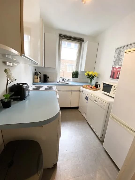 Stylish Apartments next to Buckingham Palace - photo 18