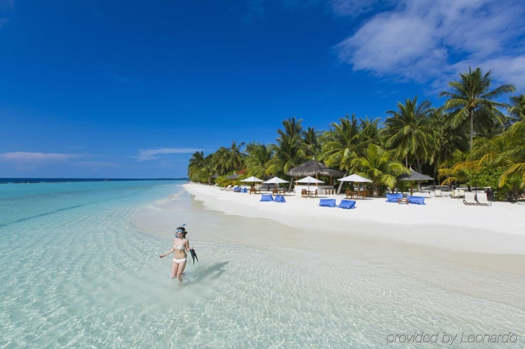 Niva Kurumba Maldives Resort - photo 17