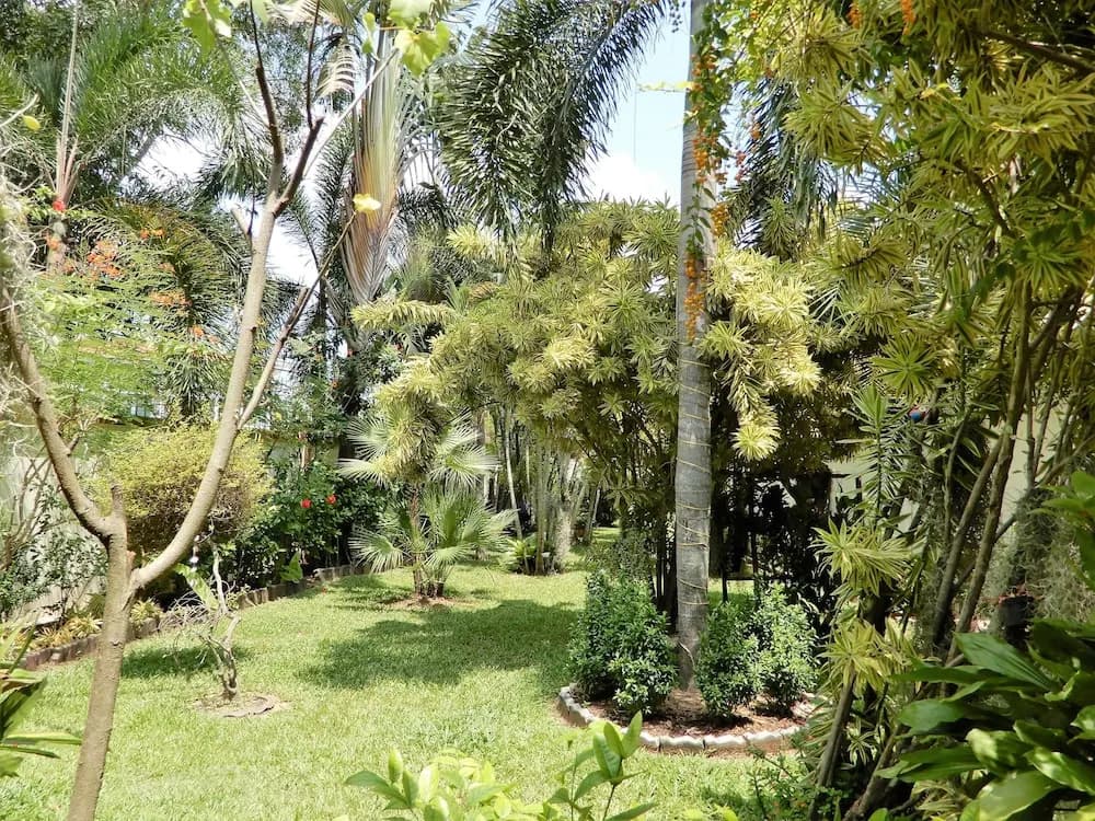 Relaxing Palm Pool Villa - photo 19