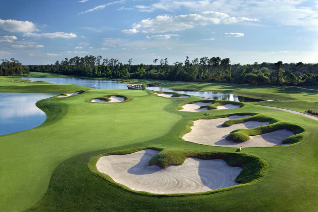 Waldorf Astoria Orlando - An Official Walt Disney World® Hotel - photo 18