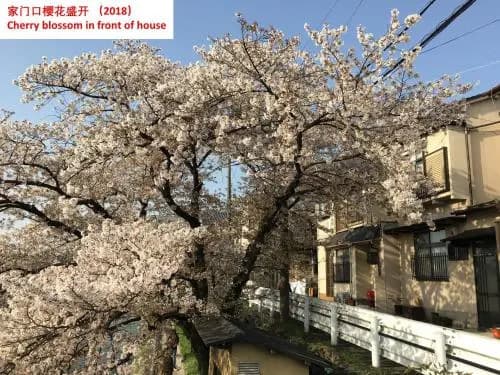 Aoi-Riverside Old Townhouse - photo 2