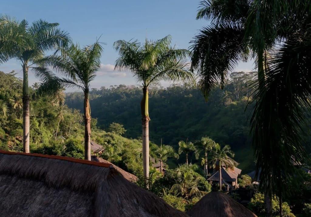 The Payogan Villa Resort & Spa Ubud - photo 19