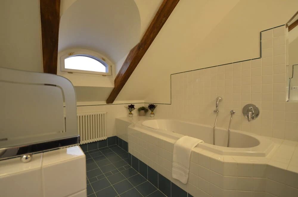 Attic Hroznova - Charles Bridge - photo 7