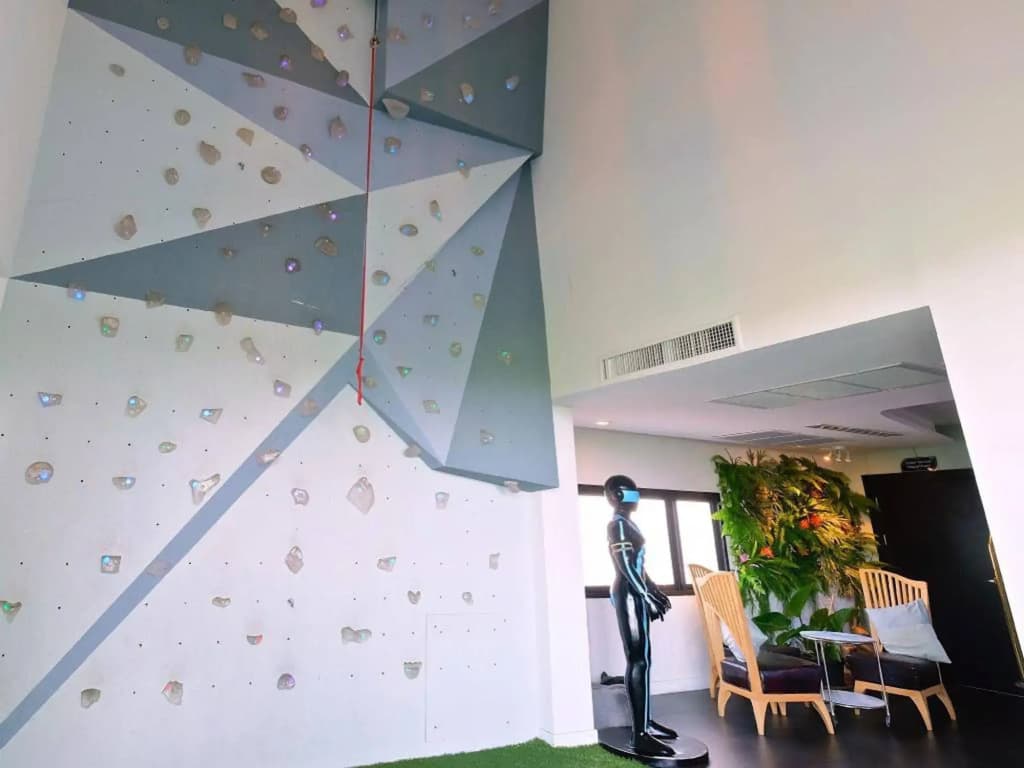 The Xtreme Suites - photo 22