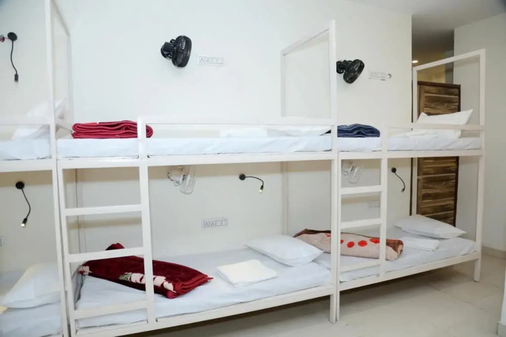 The Charlie's hostel - photo 3