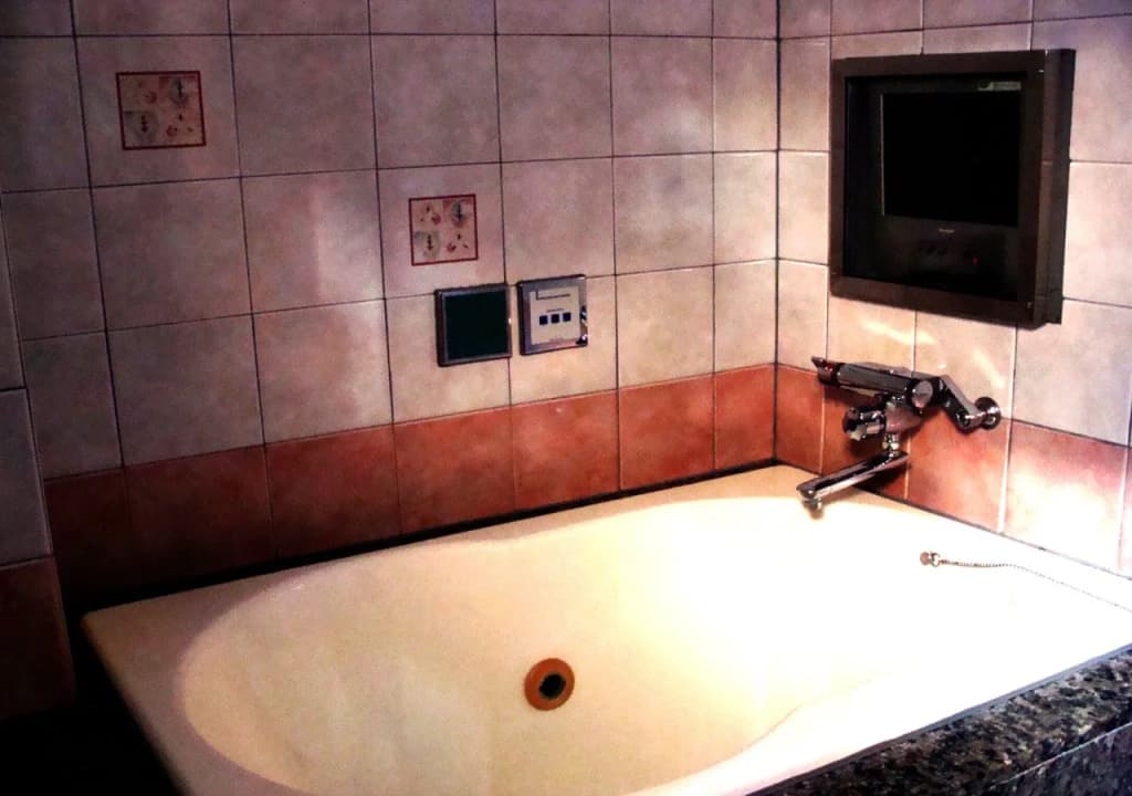 Hotel Alten - photo 13
