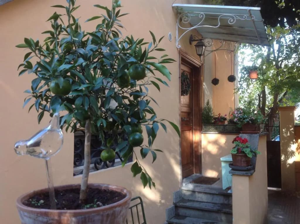 Gianicolo Penny's Garden - photo 28