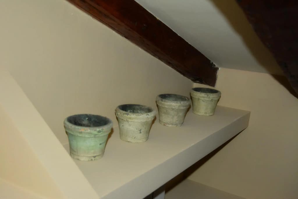 M (Cor2) Estudio 4 Pax - photo 14