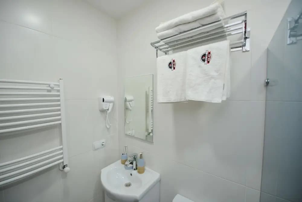 Basi - photo 9