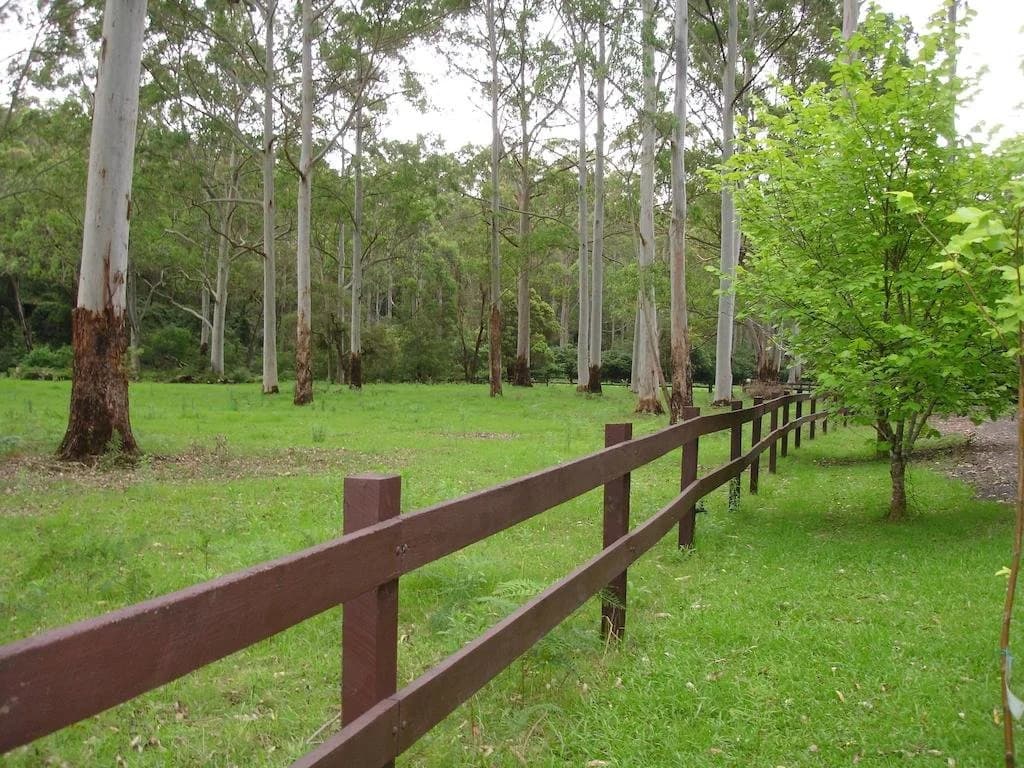 Dingley Dell - photo 8