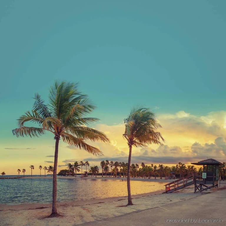 Conrad Miami Suites By Vesper - photo 16