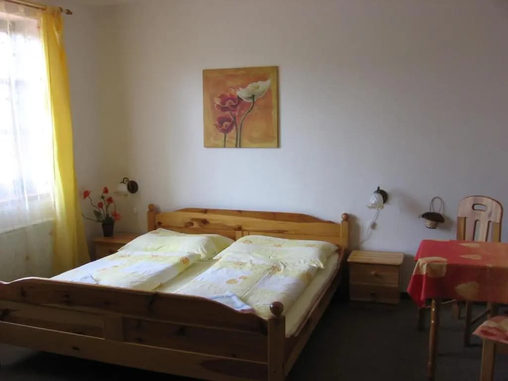 Pension Trojská - photo 2
