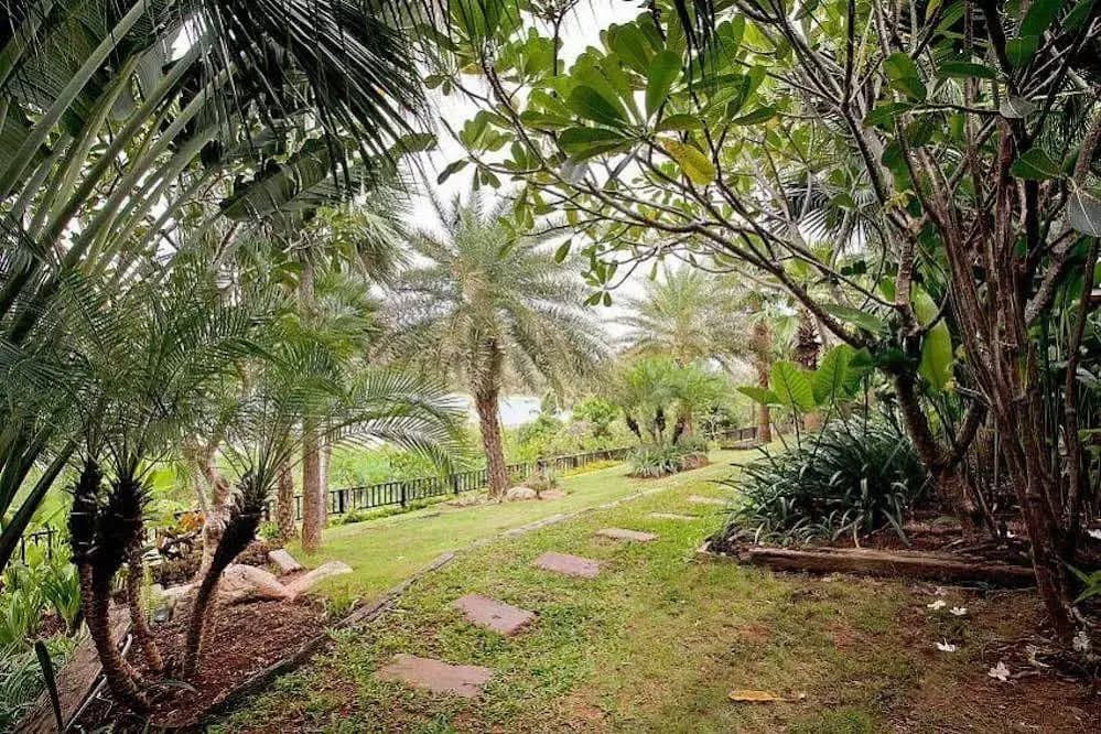 Solymar Villa - photo 20