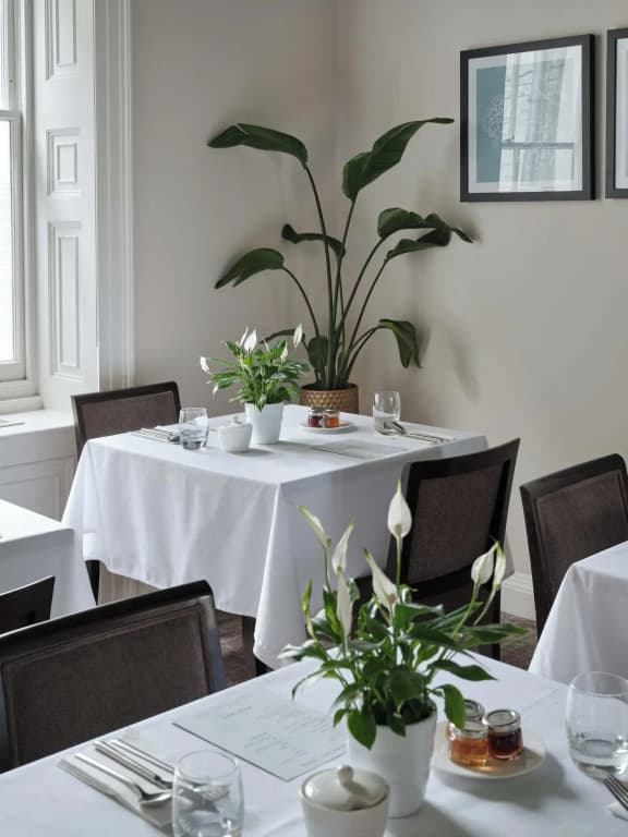 Montagu Place Hotel - photo 22