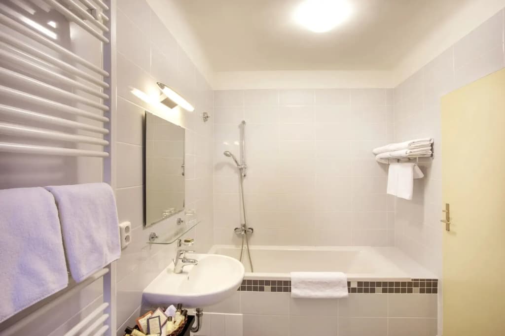 Hotel U Prince Prague by BHG - photo 10