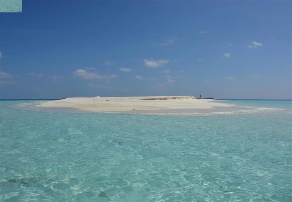 Hanifaru Stay - photo 4