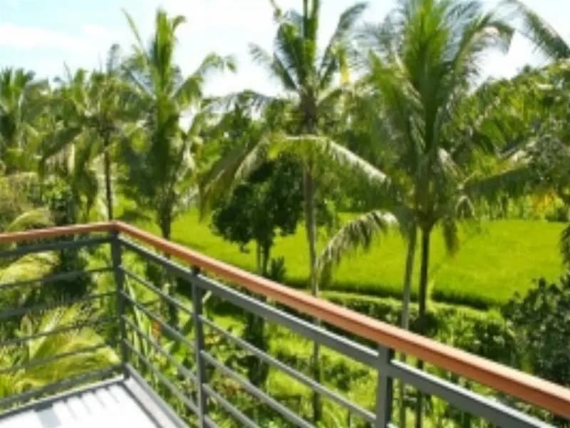 Daysha Ubud - photo 8