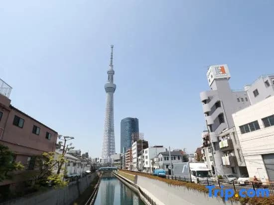 Tokyo Sakura Hotel - photo 6