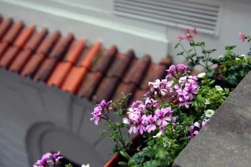 SG1 Hostel - photo 3