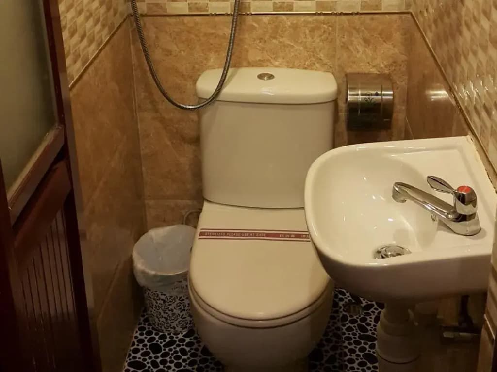 Maharaja Guest House - photo 7