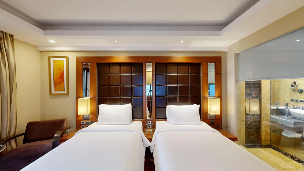 Radisson Blu Plaza Delhi Airport - photo 35