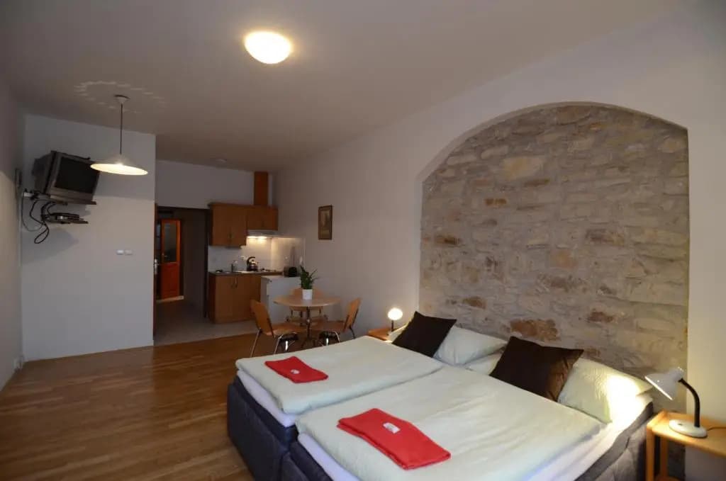 Apartments Karlin - photo 3