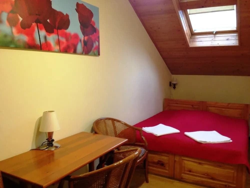 Platan pension - photo 5