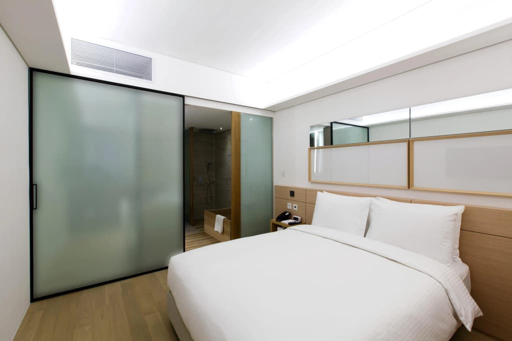 Sotetsu Hotels The Splaisir Seoul Myeong-Dong - photo 3