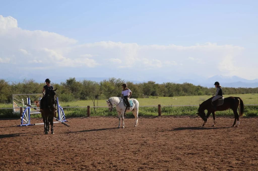 La Vie en Rose - Maison des chevaux - photo 18