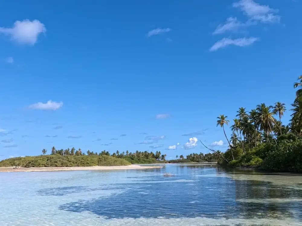 Holiday Villa - photo 10