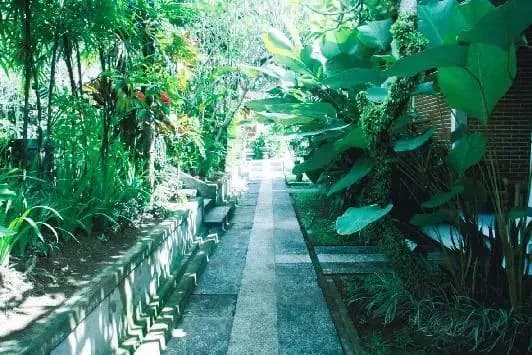 Hotel Satrya Ayu(Satrya Ayu Hotel) - photo 14