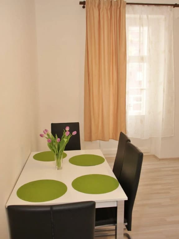 Apartments Mikovec - photo 10
