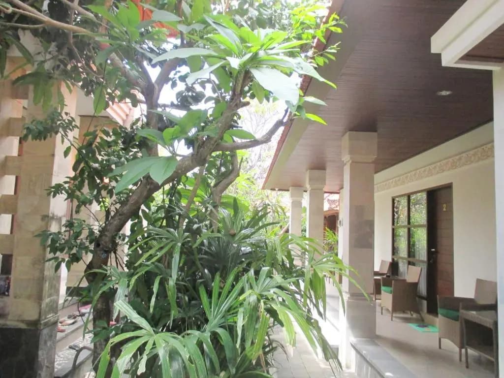 Mona Homestay - photo 5
