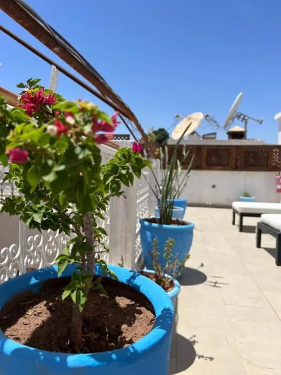 Riad Excellence Luxe - photo 5