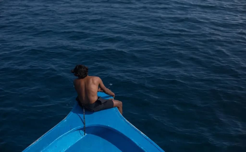 Rasdhoo Dive Lodge - photo 13