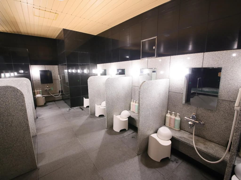 APA Hotel Shinjuku Gyoemmae - photo 8