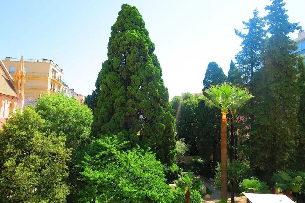 Côté Jardin by Nestor&Jeeves - photo 11