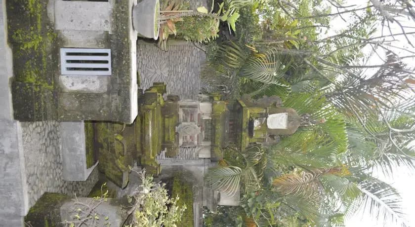 Jatayu House - photo 9