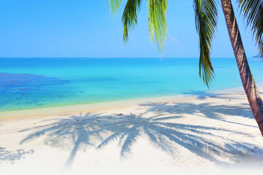 Samui Heritage Resort - photo 18