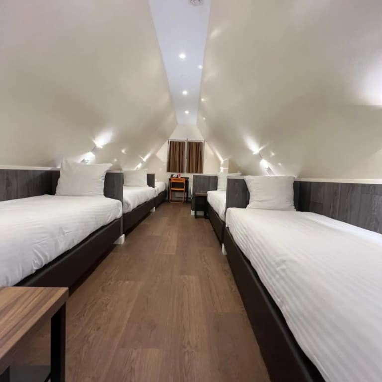 Budget Dam Hotel - photo 12