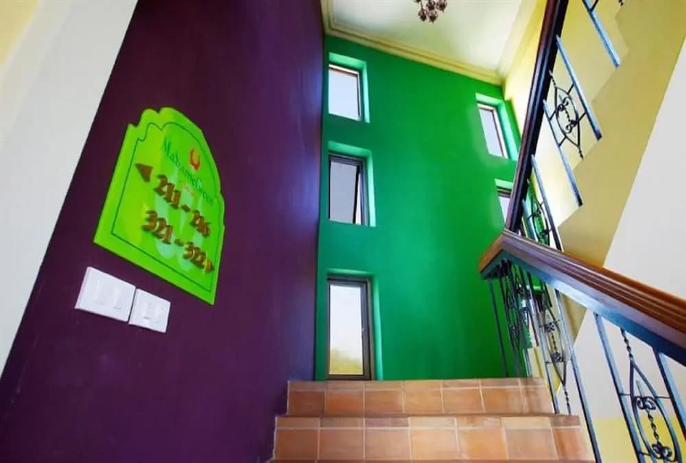 Madame Green Forever - photo 11