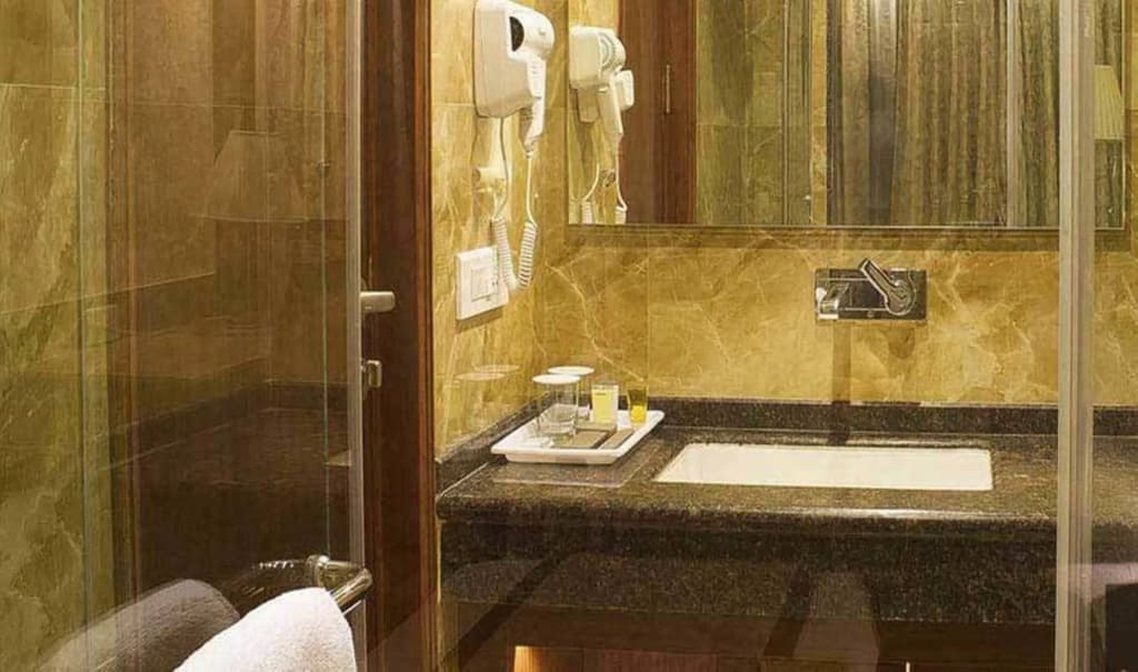 Hotel Regent Grand - photo 9
