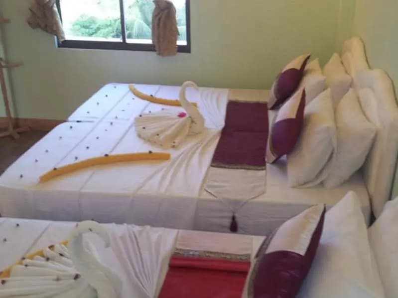 Summer Villa Guest House - photo 4