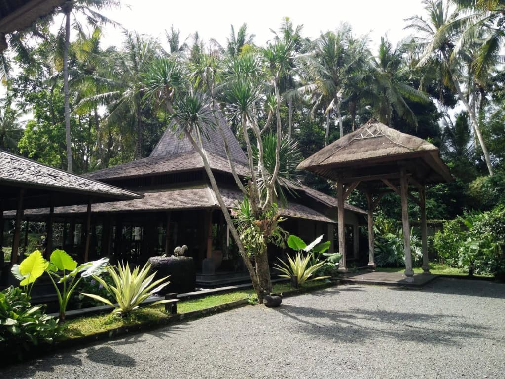 Puri Tupai - photo 19