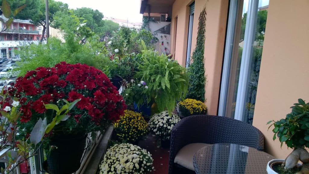 Gregorio VII Luxury Suites - photo 14