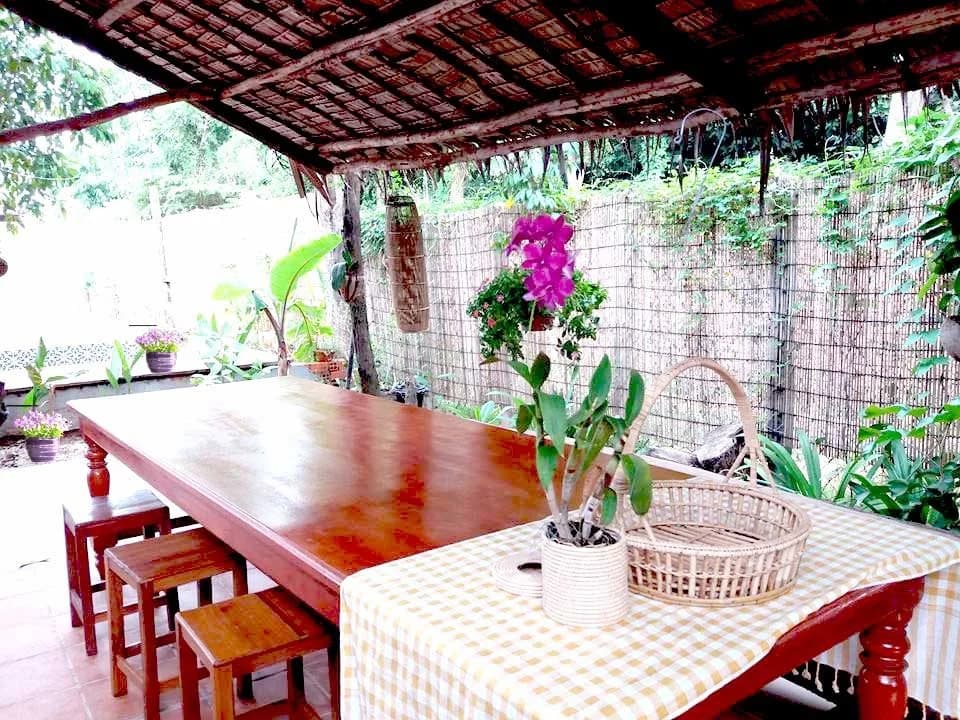 Angkor Dino B&B - photo 16