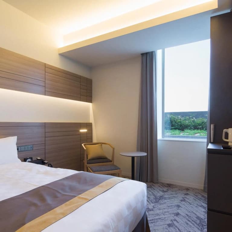 Nippon Seinenkan Hotel - photo 34