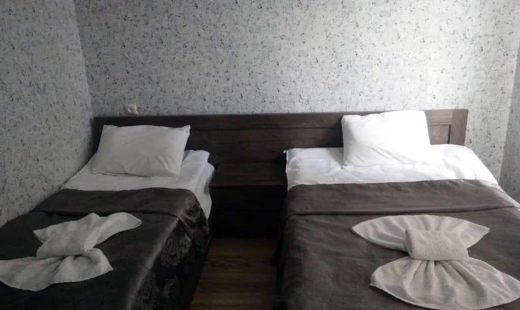 Hotel Mimino - photo 6