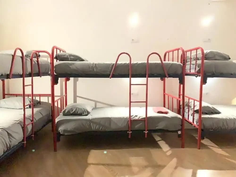 Boga Hostel - photo 5