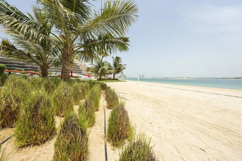 Spacious beachfront 2 bedroom apartment - photo 12